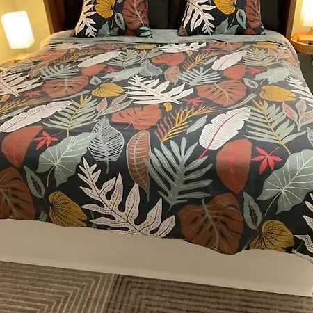 Elegant Confort Vue Mont Blanc Apartmán *